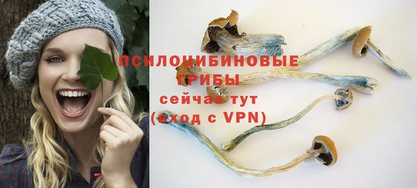 амф Абаза