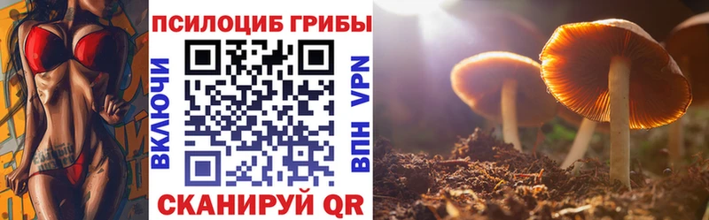 мега ONION  сколько стоит  Зубцов  Псилоцибиновые грибы прущие грибы 