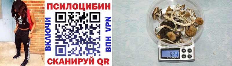 Галлюциногенные грибы прущие грибы Зубцов